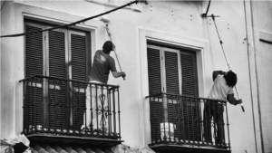 non-professional window cleaners